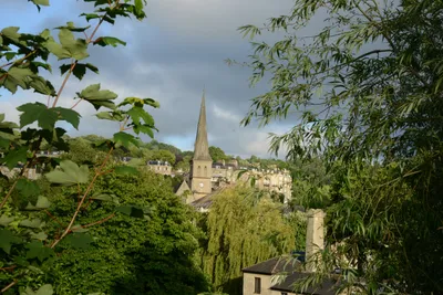 DSC_2695 (Large).JPG